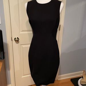 Ted Baker Black Sheath Dress with Floral Lining and Gold Zipper